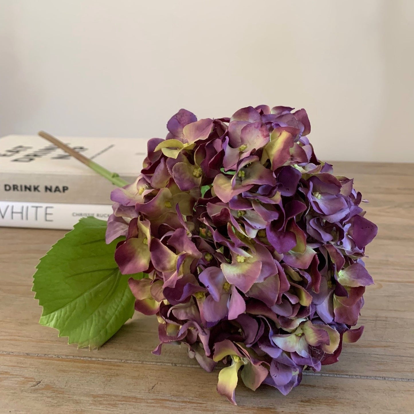 Purple Dried Hydrangea